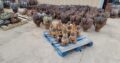 Surplus Drill Bits