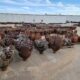 Surplus Drill Bits