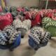 Surplus Drill Bits