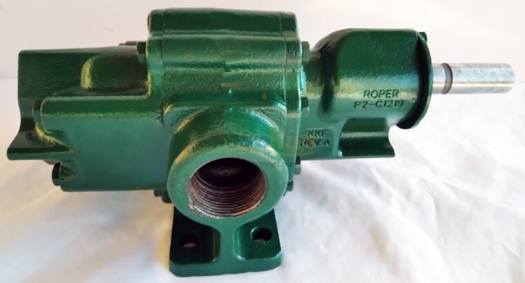 Roper Gear Pump 2AM21