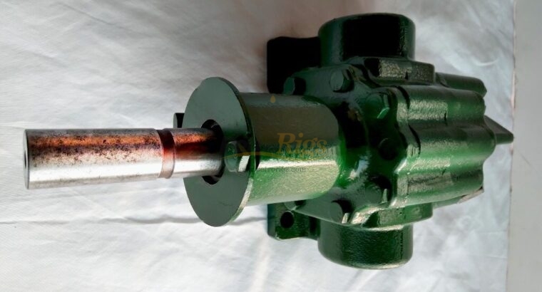 Roper Gear Pump 2AM21