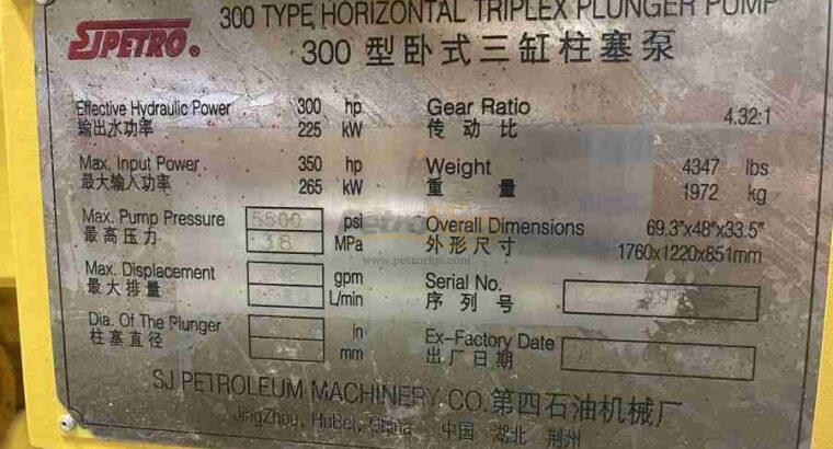 Triplex Plunger Pump