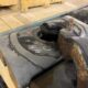 CAMERON 11” Type U BOP Rams