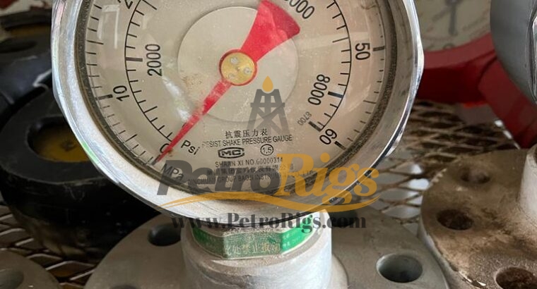 Mud Pump Pressure Gauges