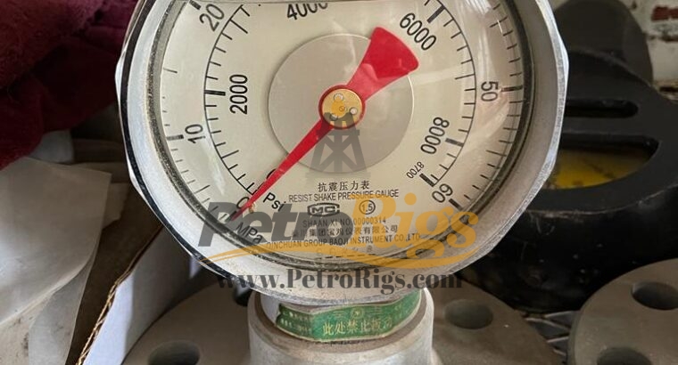 Mud Pump Pressure Gauges