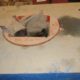 ZP-205 ROTARY TABLE 20-1/2 inch