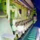 Rolls Royce Gensets