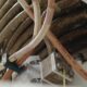 FRAMO Multiphase Pump