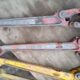 AOT Tubing/Casing Tongs