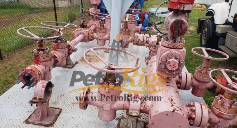 Cameron Choke Manifolds