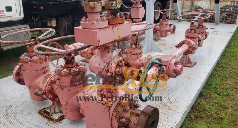 Cameron Choke Manifolds