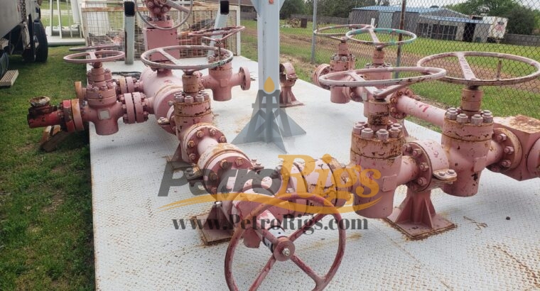 Cameron Choke Manifolds