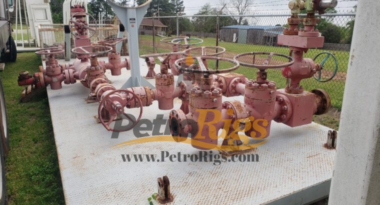 Cameron Choke Manifolds