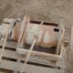 Braden 5000KG Winches