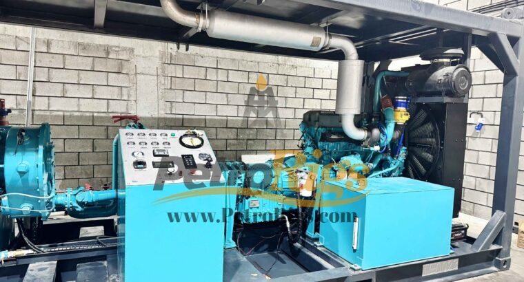 SPM Triplex Pump Skid
