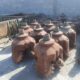 Tricone Drill Bits