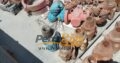 Tricone Drill Bits