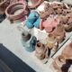 Tricone Drill Bits