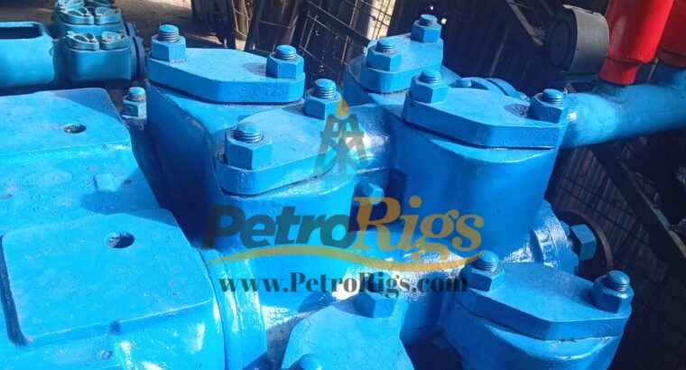 GD FXD172 Duplex Pump