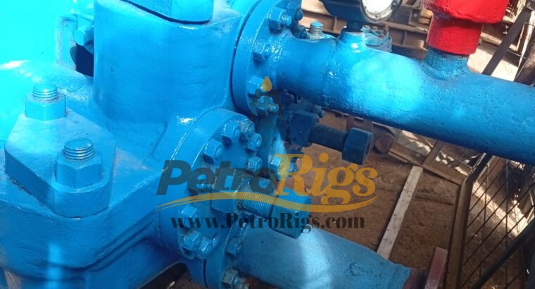 GD FXD172 Duplex Pump