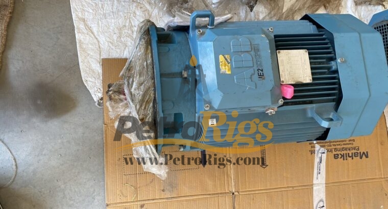 Industrial Electric Motors