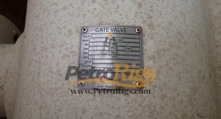 Cameron Safety Valves