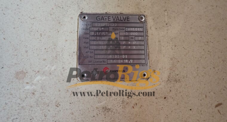 Cameron Safety Valves