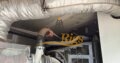 Perking 620Kva Genset