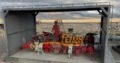 NOV 1000HP AC Rig